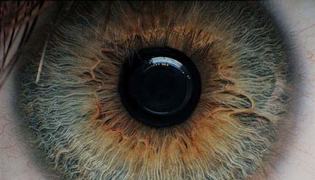 macro-image-eye-iris