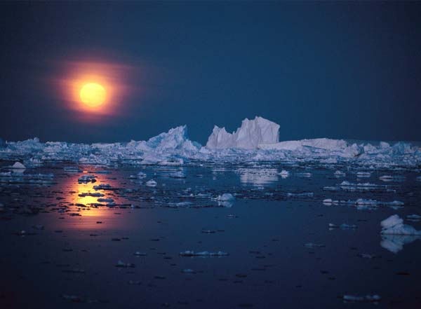 sun-and-icebergs