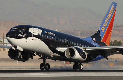 Southwest Airlines plane painted as killer whale